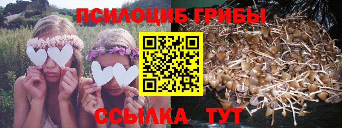 Псилоцибиновые грибы мицелий  Вход с VPN  хочу   Коммунар 